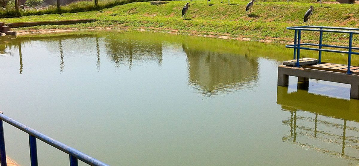 Wastewater Treatment Plant Project